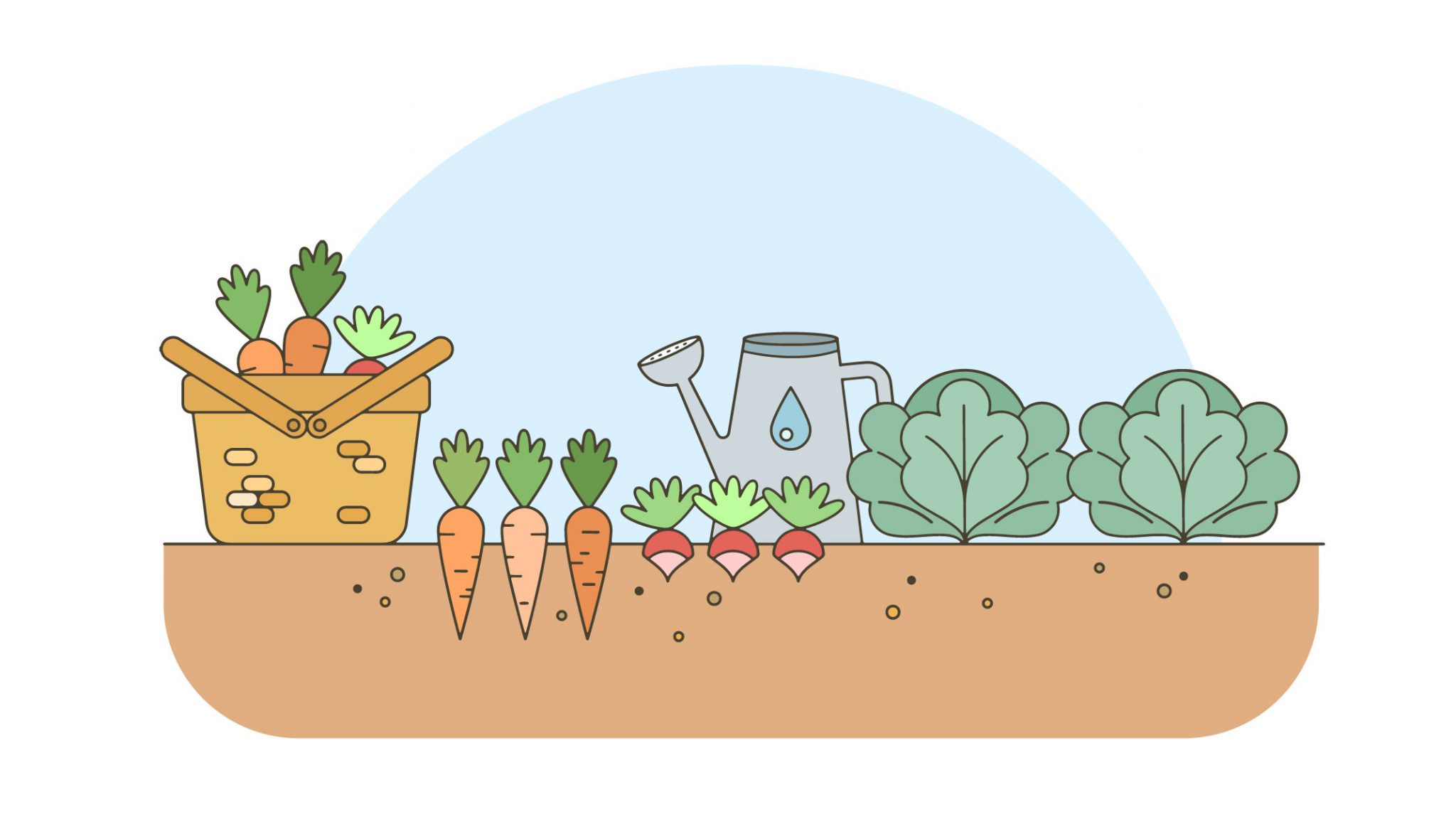 Beginner’s Guide To Vegetable Gardening